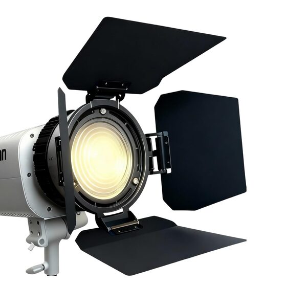 Fresnel lamp with barndoors