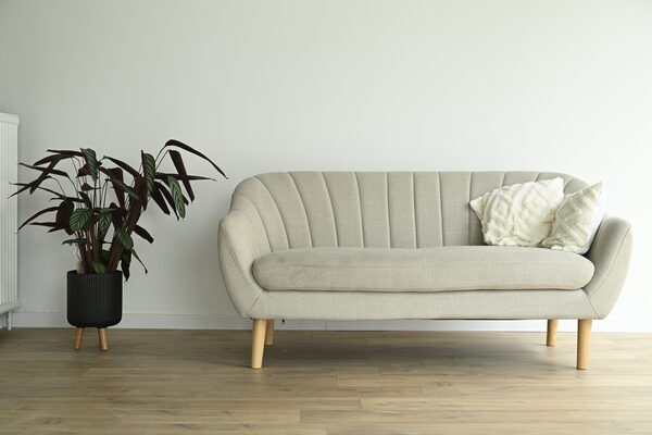 Sofa and plant as prop in the studio